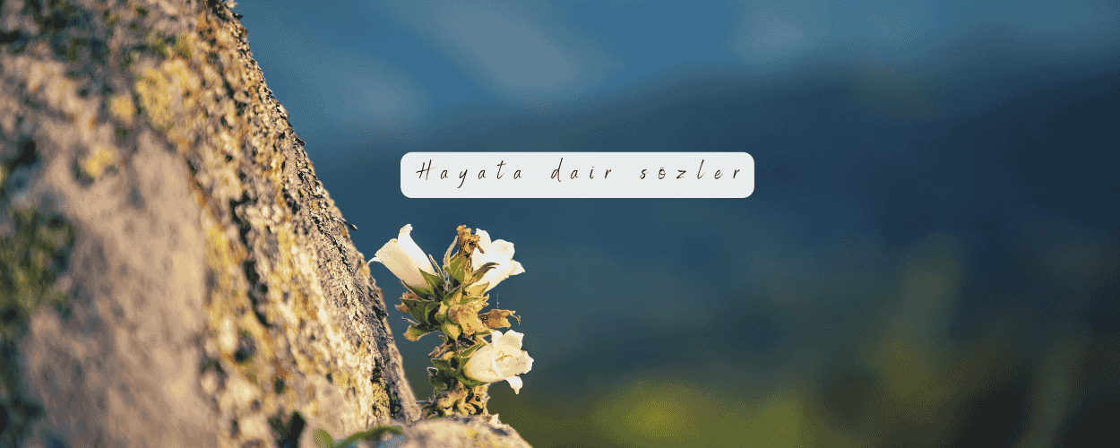 Hayata dair sözler