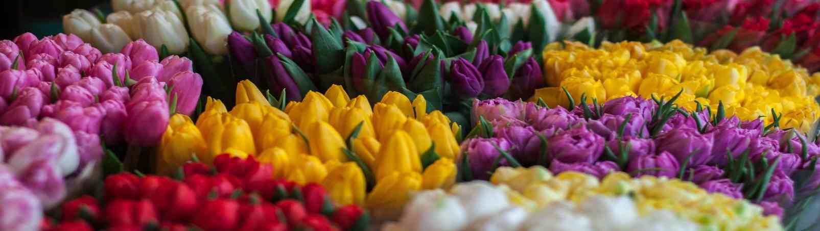 Sari Gül Romantik Duygusal siirler