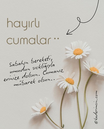 Papatya görselli resimli Cuma mesajı