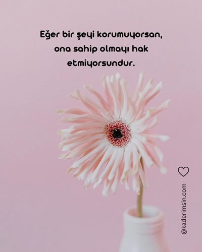 Pembe çiçekli delikanlı ağır söz görseli