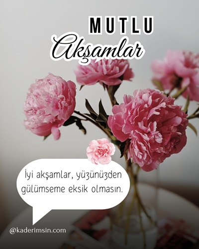 Karanfil Çiçekli mutlu akşamlar resmi mesajlar