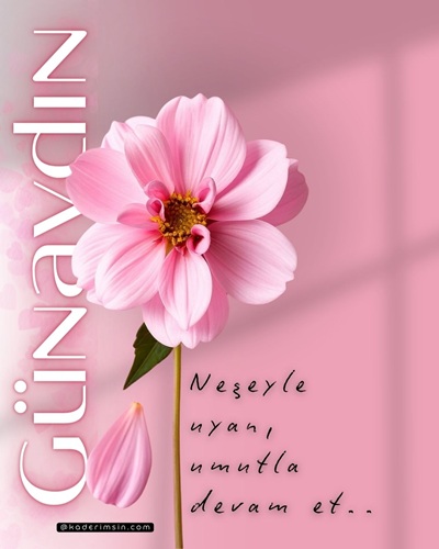 neşeli günaydın görseli