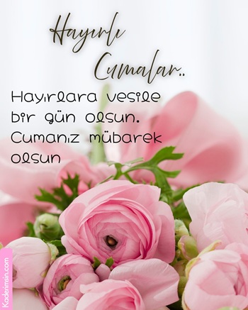 Pembe güllü hayırlı Cumalar görseli