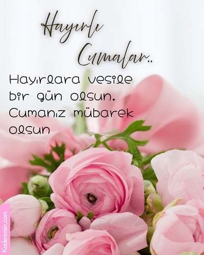 Pembe güllü hayırlı Cumalar görseli