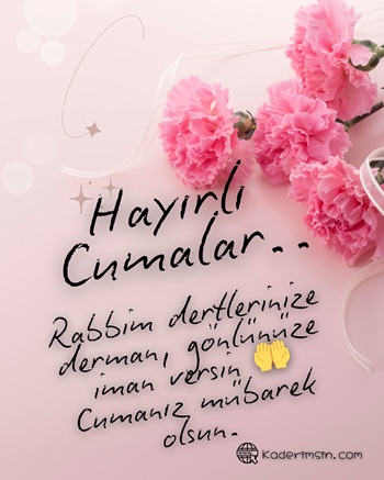 Pembe karanfilli resimli Cuma mesajı