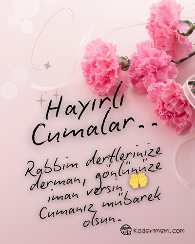 Pembe karanfilli resimli Cuma mesajı