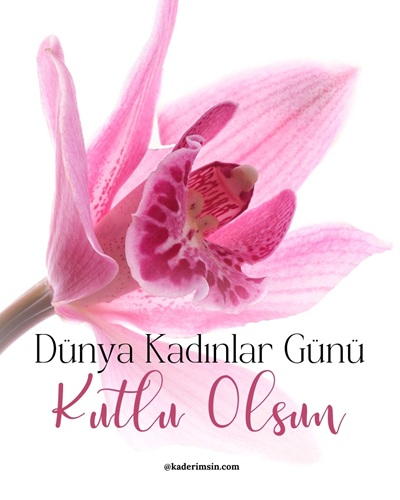 Pembe orkide görselli Dünya Kadınlar Günü kutlama mesajı