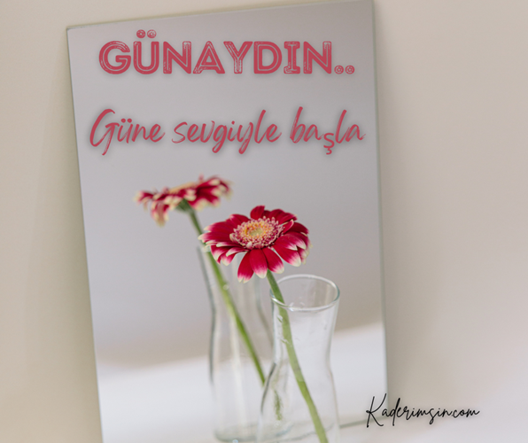 Günaydin günün güzel kalbin ferrah olsun.