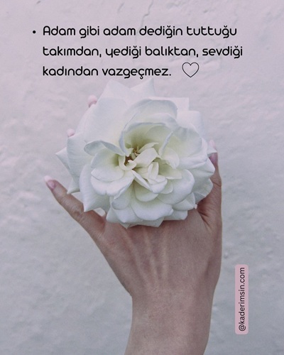 Beyaz çiçekli anlamlı adam sözleri görseli