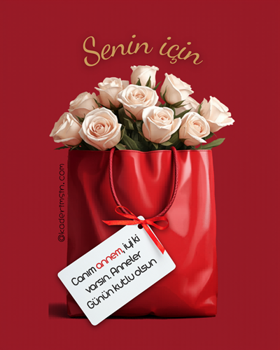 Anneler Günü için kırmızı çanta içinde beyaz güller ve sevgi mesajı