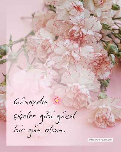 zarif çiçekli günaydın görseli