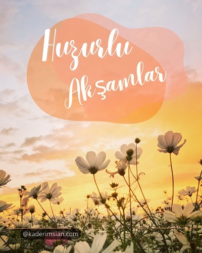 Sarı çiçekli mutlu akşamlar mesajı