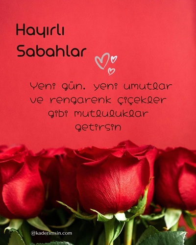 güllü günaydın mesajı