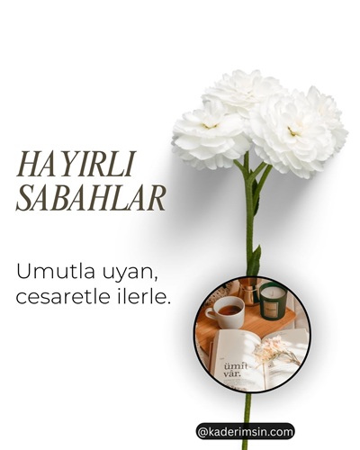 Arkadaşa hayırlı sabahlar mesajı yazılı beyaz çiçekli günaydın görseli