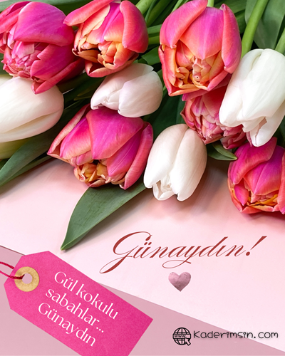 Günaydın görseli, güneş doğuşu ve çiçeklerle süslenmiş arka plan