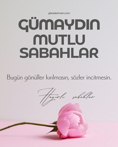 Pembe gül üzerinde günaydın mutlu sabahlar yazılı arkadaşa sabah mesajı görseli