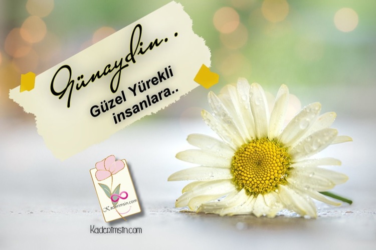 Çiçek bahçesi arka planında doğa temalı günaydın mesajı