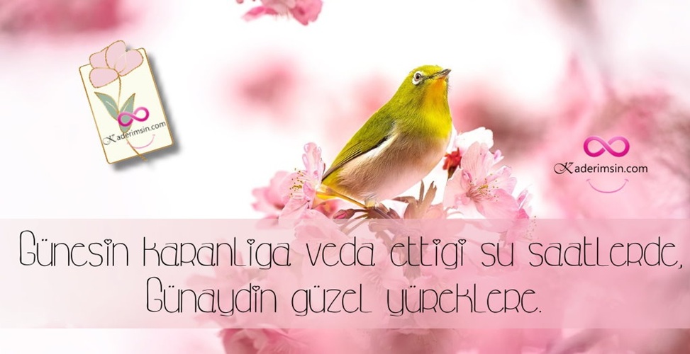 Sevgiliye özel kalpli günaydın mesajı görseli