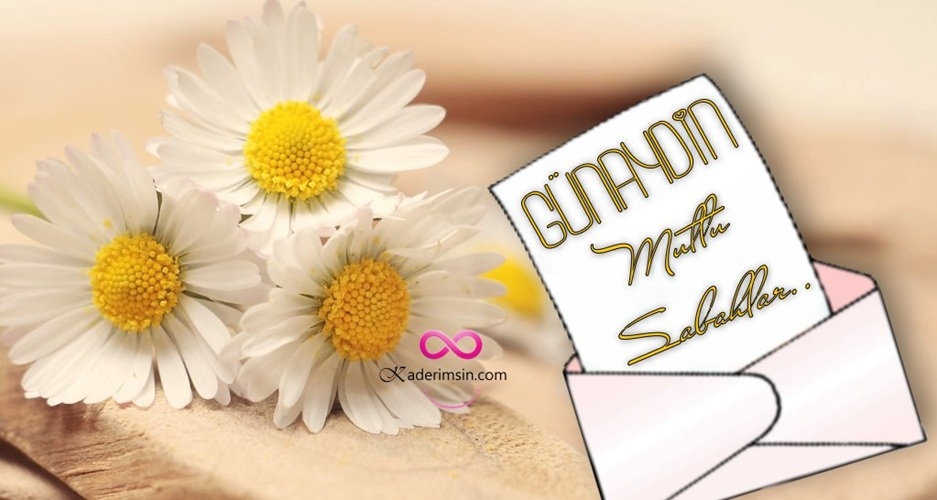 Sabah güneşi altında mutluluk dileği içeren kart