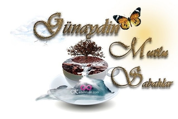 Güneşli sabah manzarasında “Günaydın” yazılı kart