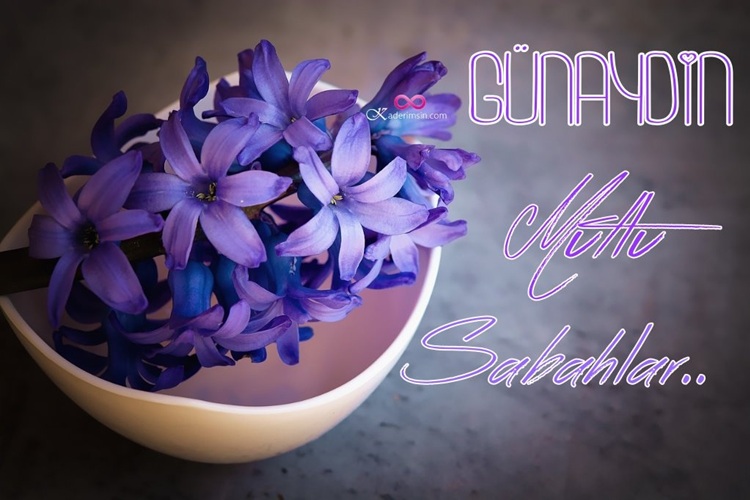Arkadaşlara gönderilecek sevimli ve sıcak günaydın kartı