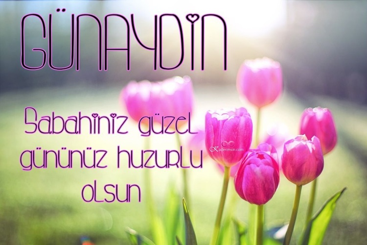 Sabah huzurunu anlatan pastel tonlarda günaydın tasarımı