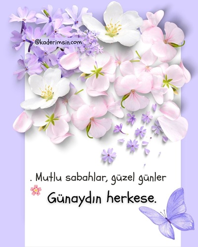 Beyaz ve mor çiçeklerle süslenmiş herkese özel resimli günaydın mesajı