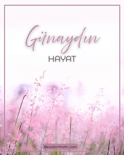 Pembe çiçek tarlalı günaydın hayat temalı günaydın kartı görseli