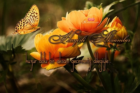 Sosyal medya paylaşımı için modern iyi akşam görseli