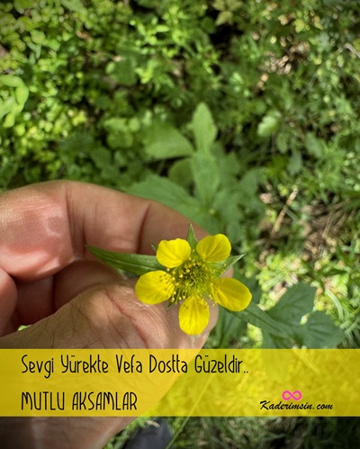 Arkadaşa iyi akşamlar sözü