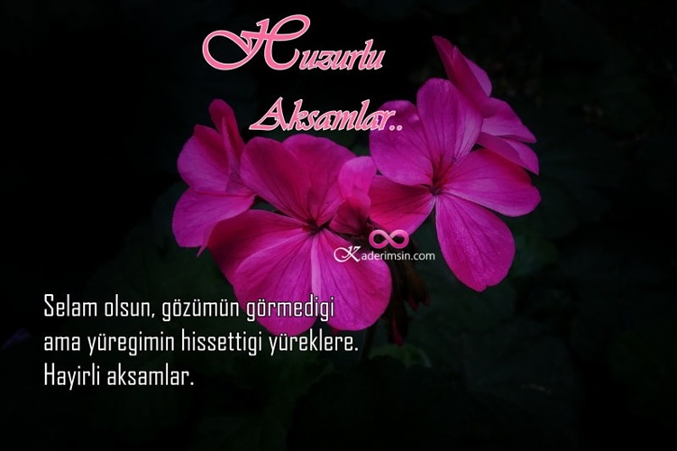 İyi akşamlar dileyen romantik akşam manzaralı kart