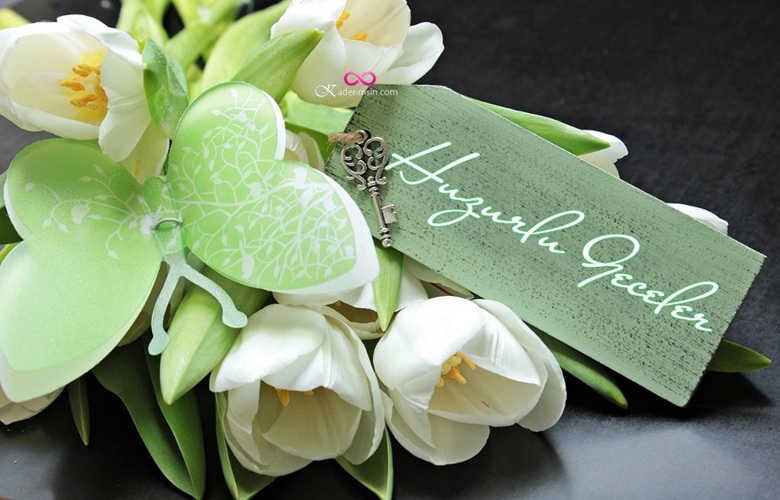 Sevgiliye özel kalpli iyi akşam mesajı görseli