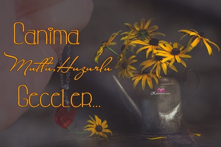 Instagram paylaşımına uygun estetik iyi akşam görseli