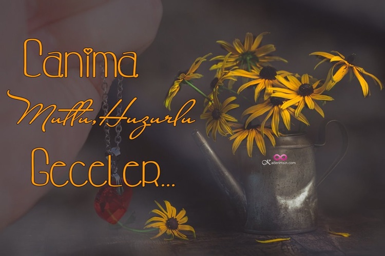 Instagram paylaşımına uygun estetik iyi akşam görseli