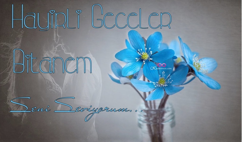 Huzurlu akşam için lavanta desenli kart tasarımı