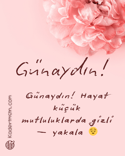 Güllerle süslenmiş Günaydın mesajı, romantik sabah kartı