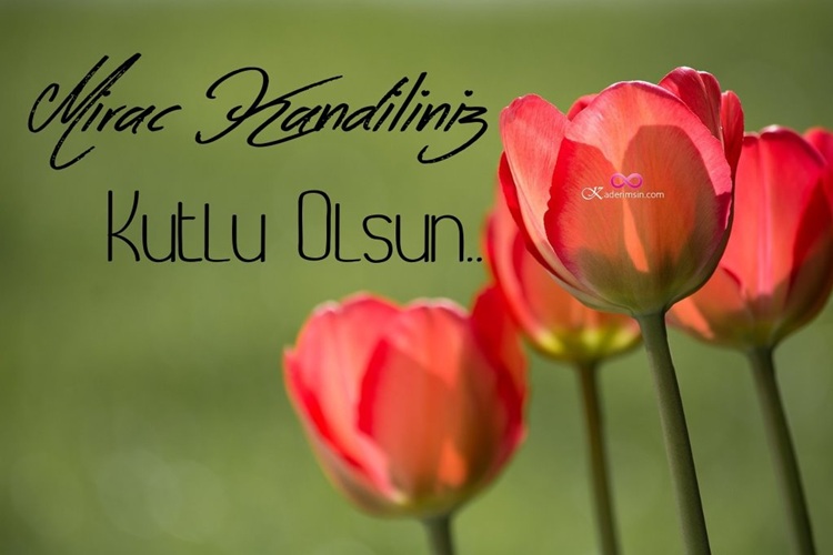 güller icinde miraç kandili kutlamalari