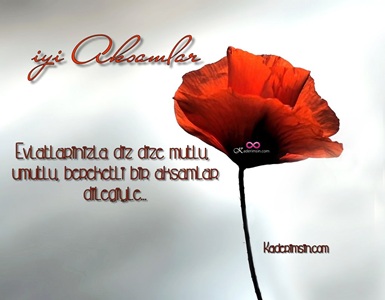 Dostluk temalı iyi akşam mesajlı kart