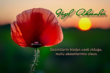 Telefonla paylaşmaya uygun dikey iyi akşam kartı