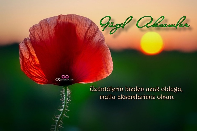 Telefonla paylaşmaya uygun dikey iyi akşam kartı