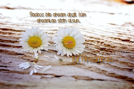 “Güzel bir akşam geçirmeniz dileğiyle” yazılı zarif kart