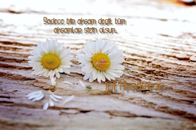 “Güzel bir akşam geçirmeniz dileğiyle” yazılı zarif kart