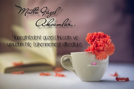 Renkli çiçeklerle çevrili “İyi akşamlar” yazısı