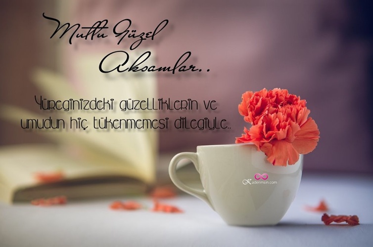 Renkli çiçeklerle çevrili “İyi akşamlar” yazısı