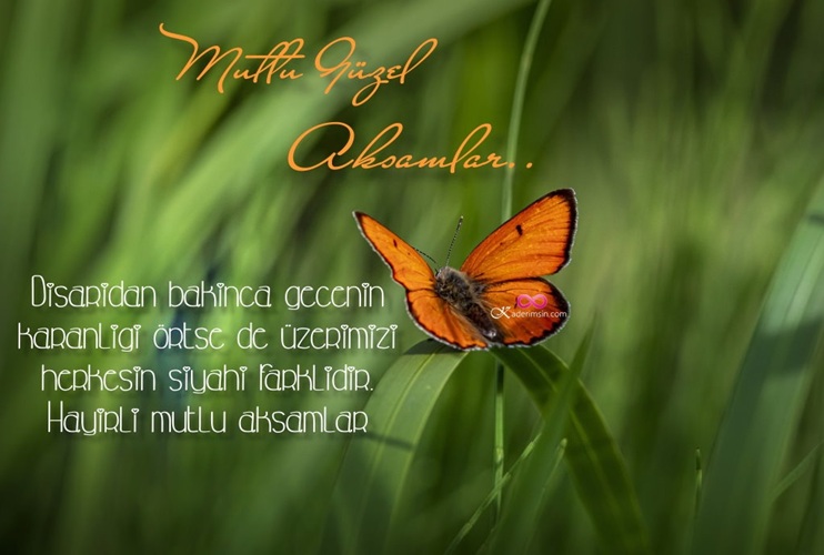 Minimal beyaz fon üzerinde sade iyi akşam yazılı görsel