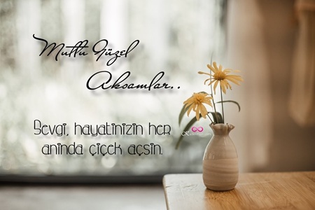 Gökyüzünde parlayan yıldızlarla süslenmiş iyi akşam kartı