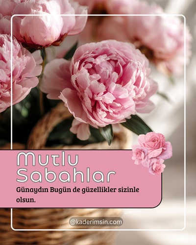 Mutlu sabahlar yazılı pembe şakayık çiçekli günaydın kartı