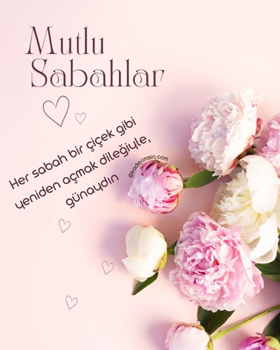 Pembe şakayık çiçekli mutlu sabahlar ve günaydın mesajı görseli