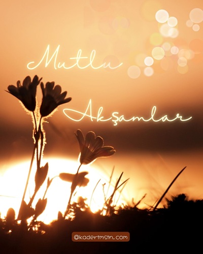 Çiçek tarlalı huzurlu akşamlar görseli