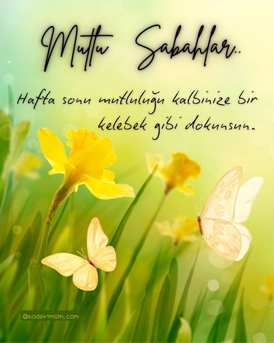 Sarı çiçekler ve kelebeklerle mutlu sabahlar mesajı görseli